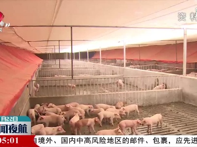2020年江西生猪存栏1569.9万头