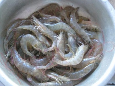 活虾价格大涨！有品种涨价五成！农户为啥惜售？