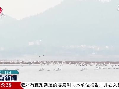 都昌：鄱阳湖变身“天鹅湖”
