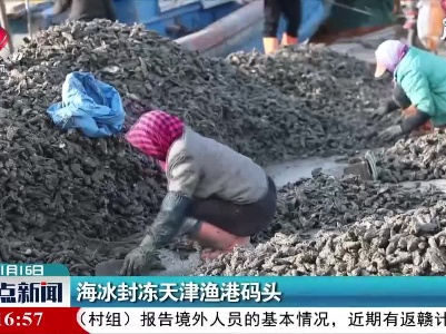 海冰封冻天津渔港码头