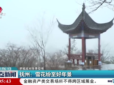 【强冷空气携风带雪】抚州：雪花纷至好年景