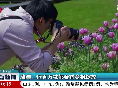 鹰潭：近百万株郁金香竞相绽放