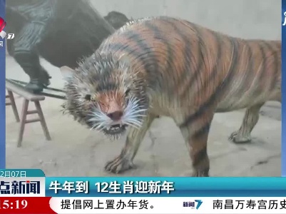 四川：牛年到 12生肖迎新年