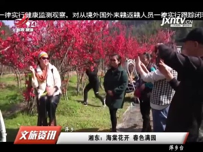 萍乡湘东：海棠花开 春色满园