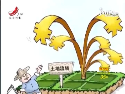 新《农村土地经营权流转管理办法》实施 引导土地经营权有序流转