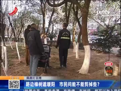 南昌红谷滩：路边樟树遮暖阳 市民问能不能剪掉些？