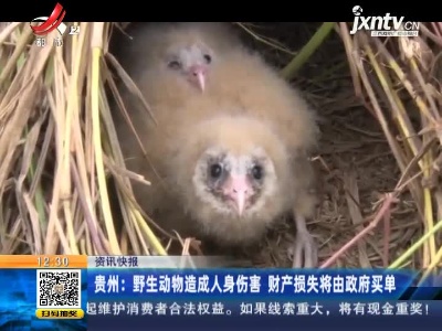 贵州：野生动物造成人身伤害 财产损失将由政府买单