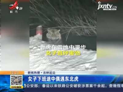 【新闻热搜】吉林延边：女子下班途中偶遇东北虎