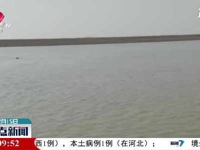 【犇游江西 温暖过年】鄱阳湖：江豚频现醉游人