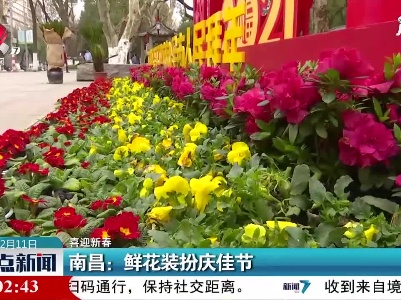 【喜迎新春】南昌：鲜花装扮庆佳节