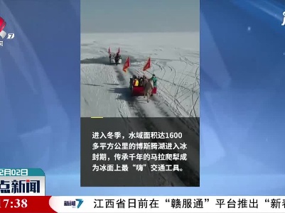 博斯腾湖进入冰封期 马拉爬犁成最“嗨”交通工具