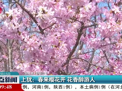 【犇游江西 温暖过年】上犹：春来樱花开 花香醉游人
