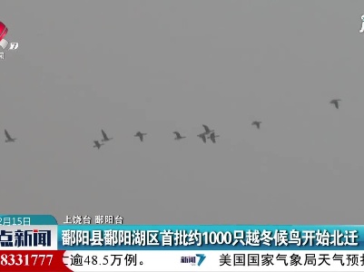 鄱阳县鄱阳湖区首批约1000只越冬候鸟开始北迁