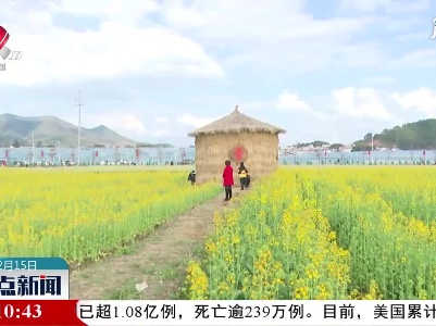 整点新闻20210215 12:00
