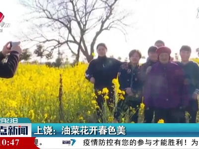 上饶：油菜花开春色美