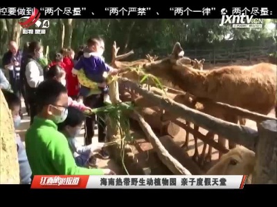 海南热带野生动植物园 亲子度假天堂