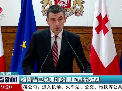 格鲁吉亚总理加哈里亚宣布辞职