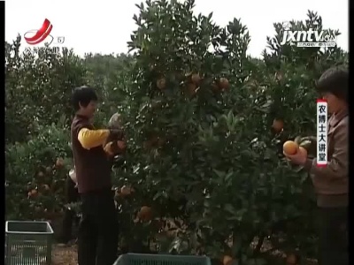 农博士大讲堂20210216 柑橘储藏与保鲜