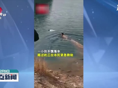 安徽：小伙不慎落水 三人合力营救