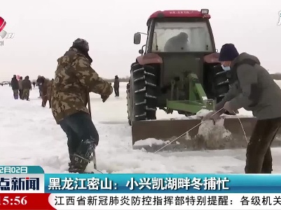 黑龙江密山：小兴凯湖畔冬捕忙