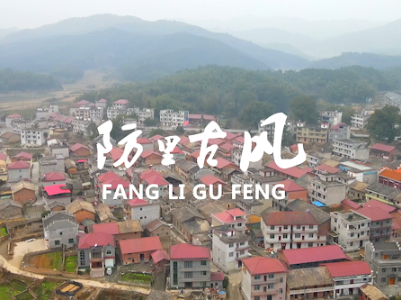 【就地过年 暖在身边】江西新余：钤山防里村 舞龙贺新春