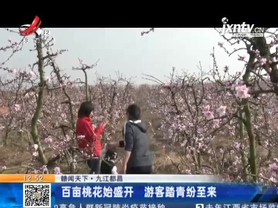 【赣闻天下】九江都昌：百亩桃花始盛开 游客踏青纷至来