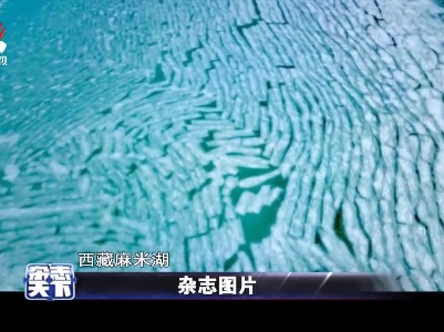西藏麻米湖 冰块碎成了指纹的形状