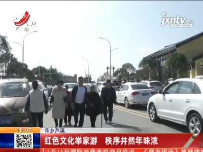 萍乡芦溪：红色文化举家游 秩序井然年味浓