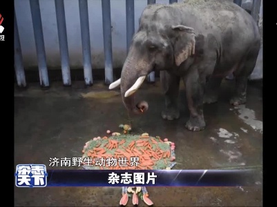 济南：动物的新春大餐