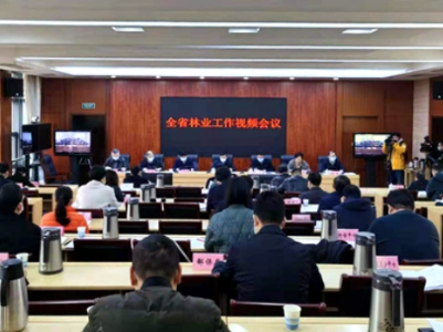 15项重点工作！2021年江西林业这么干