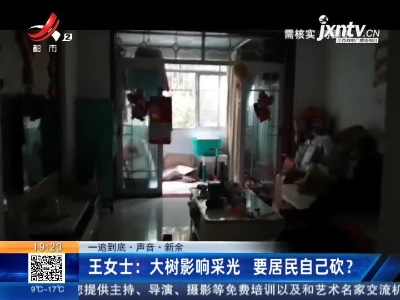 【一追到底·声音】新余·王女士：大树影响采光 要居民自己砍？