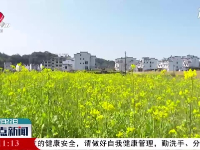 【百花争艳春意浓】婺源：油菜花花期提前