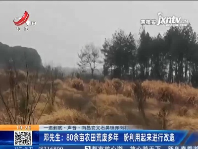 【一追到底·声音·南昌安义石鼻镇赤岗村】邓先生：80余亩农田荒废多年 盼利用起来进行改造