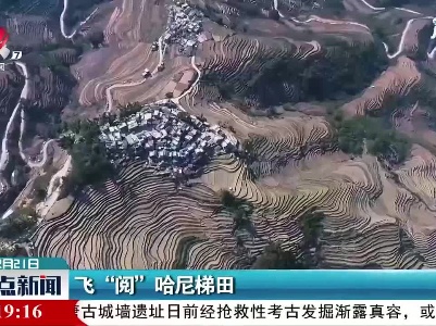 整点新闻20210221 10:00