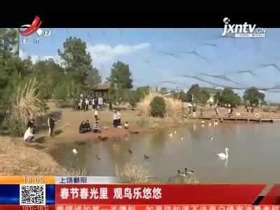 上饶鄱阳：春节春光里 观鸟乐悠悠