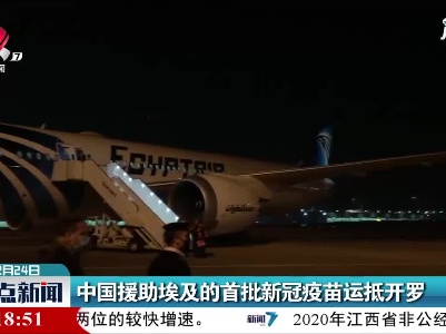 中国援助埃及的首批新冠疫苗运抵开罗