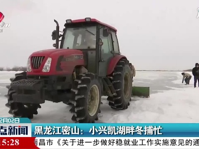 黑龙江密山：小兴凯湖畔冬捕忙