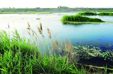 鄱阳湖水质改善明显 去年水质优良率同比上升35.3个百分点 