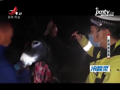 湘潭：两头毛驴“跳车出逃” 高速交警变“驴倌”