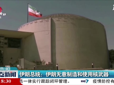 伊朗总统：伊朗无意制造和使用核武器