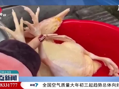 过年杀鸡 意外找到遗失多年的金戒指