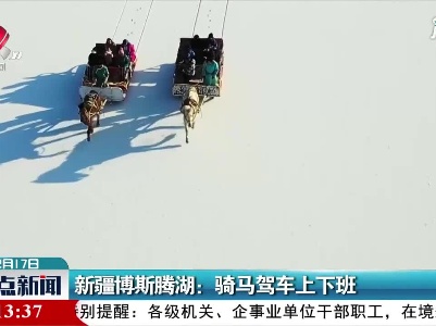 新疆博斯腾湖：骑马驾车上下班