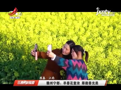 【探春·江西】赣州宁都：早春花意浓 翠微春光美