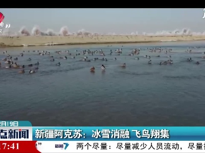 新疆阿克苏：冰雪消融 飞鸟翔集