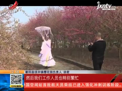 【赣闻天下】上饶鄱阳：200亩樱花绽放 吸引众多游客赏花拍照