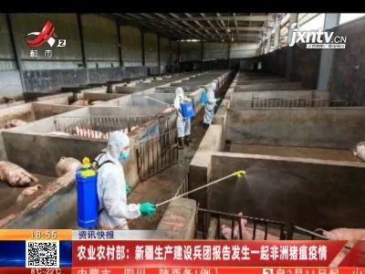 农业农村部：新疆生产建设兵团报告发生一起非洲猪瘟疫情