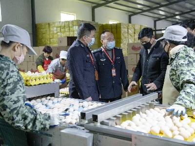 鹰潭市贵溪市农粮局全力做好春节期间农产品安全保障工作