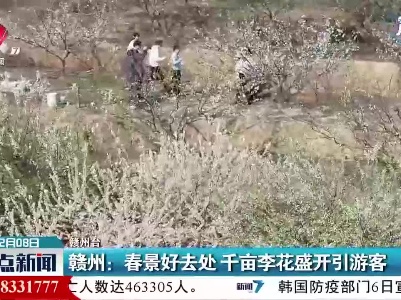 赣州：春景好去处 千亩李花盛开引游客