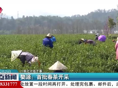 整点新闻20210225 16:00