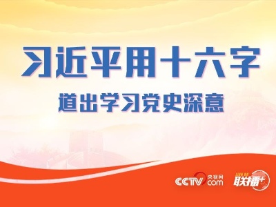 联播+丨习近平用十六字 道出学习党史深意
